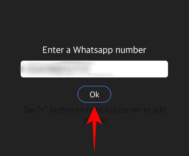 Como usar o WhatsLog passo 7.
