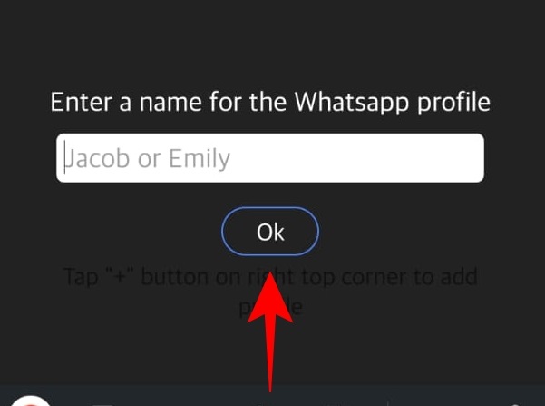 Como usar o WhatsLog passo 8.