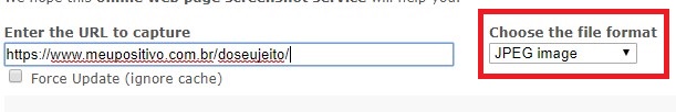Como tirar print pelo Web Capture passo 3.