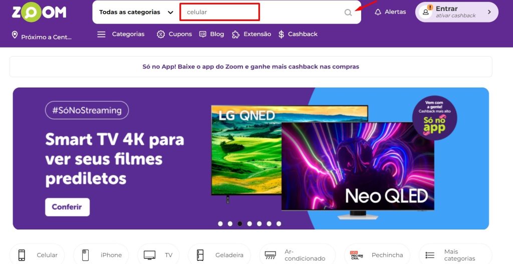 como usar o site Zoom passo 2