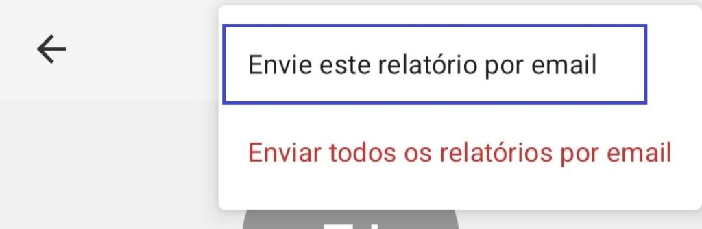 como enviar os relatórios por email passo 2