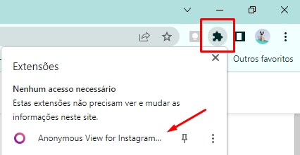 como ver stories de forma anônima pelo chrome passo 5