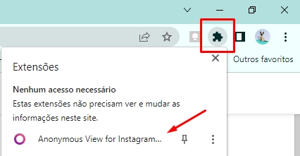 como ver stories de forma anônima pelo chrome passo 5