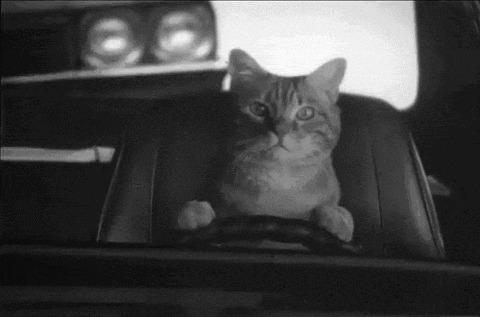 Ame Drive: o que é e como funciona o novo concorrente do Uber no Brasil