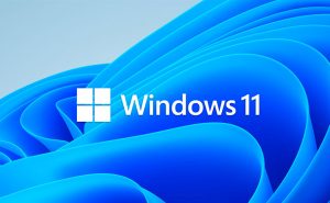 Windows 11: veja como ativar função que impede que operadoras saibam os sites que você visita