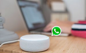 Alexa no WhatsApp: como baixar as figurinhas da assistente pessoal