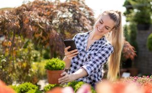 6 apps para identificar plantas por fotos