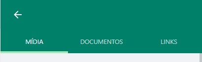 como-baixar-arquivos-whatsapp-web-passo-quatro