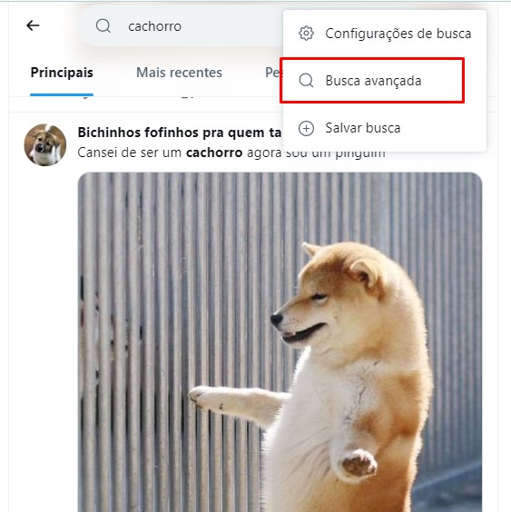 Twitter como encontrar posts específicos usando a busca avançada passo 3