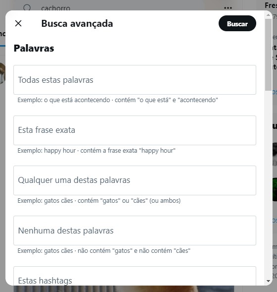 Twitter como encontrar posts específicos usando a busca avançada passo 4