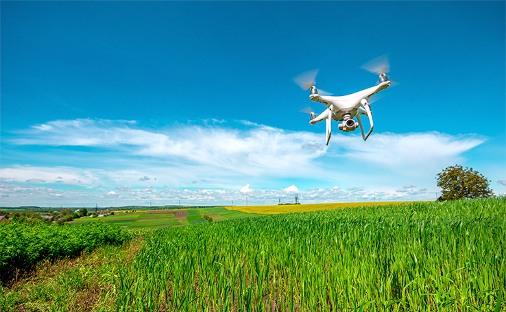 drone sobrevoando plantação