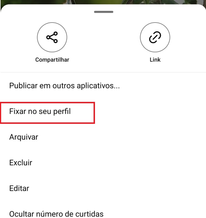 como fixar posts passo 3