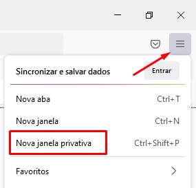 como abrir uma guia anônima no Mozila passo 1