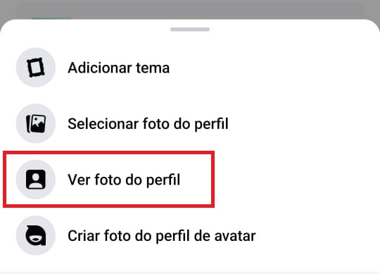 como remover a foto de perfil do Facebook passo 2