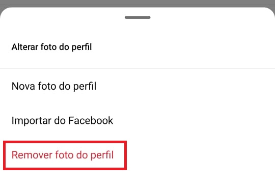 como remover a foto de perfil do Instagram passo 3