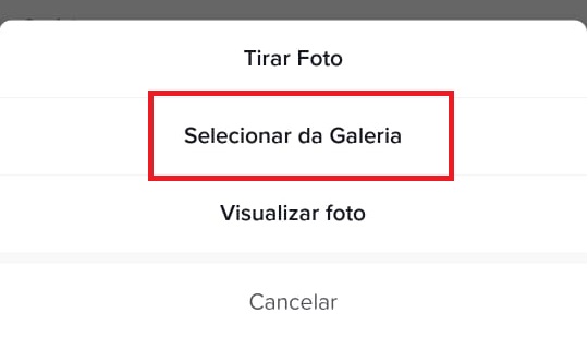 como remover a foto de perfil do TikTok passo 3