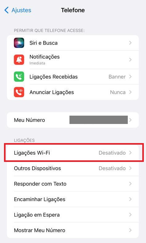 como fazer chamada wi-fi no iOS passo 2.1