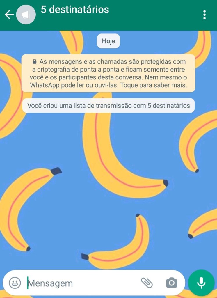 como fazer uma lista de transmissão no WhatsApp Business passo 4