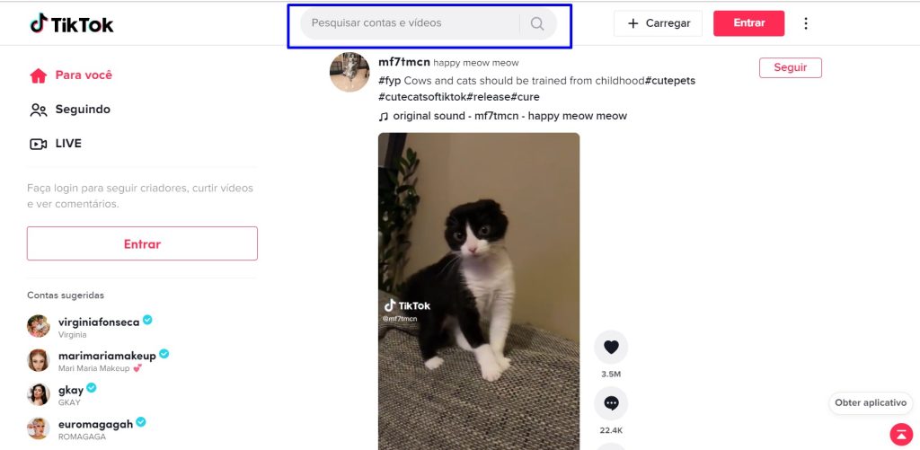 como usar o TikTok anonimamente pela web passo 2