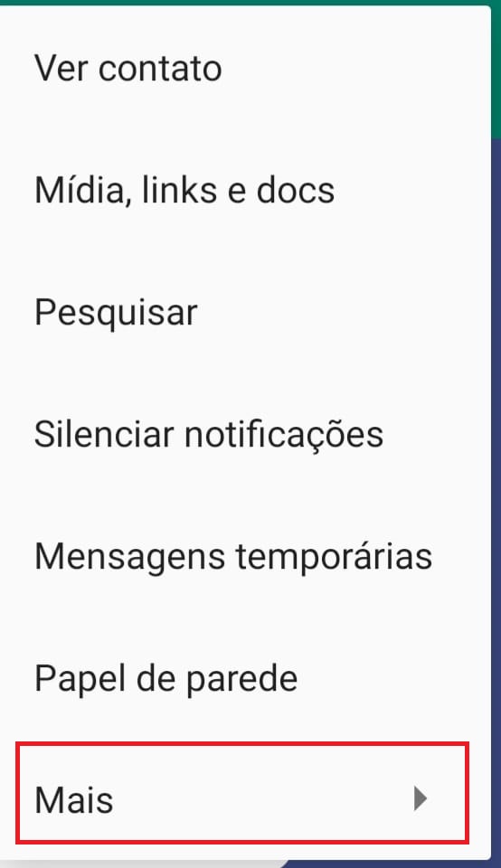 Como exportar o histórico de conversas do WhatsApp passo 2.2