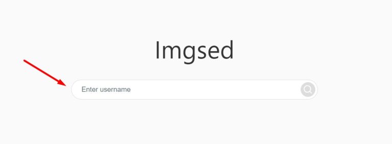 Aprenda ver o Instagram sem fazer login na sua conta, uma opção ...