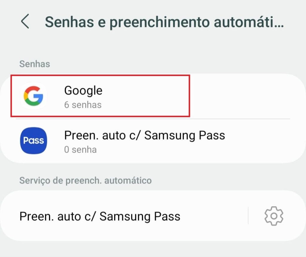 Como configurar o gerenciador de senhas passo 3