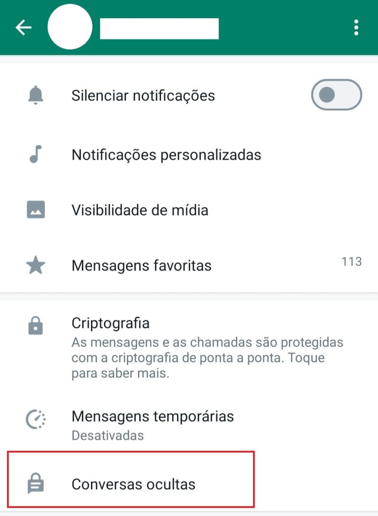 Como a nova atualização do Whatsapp pode proteger suas conversas ...