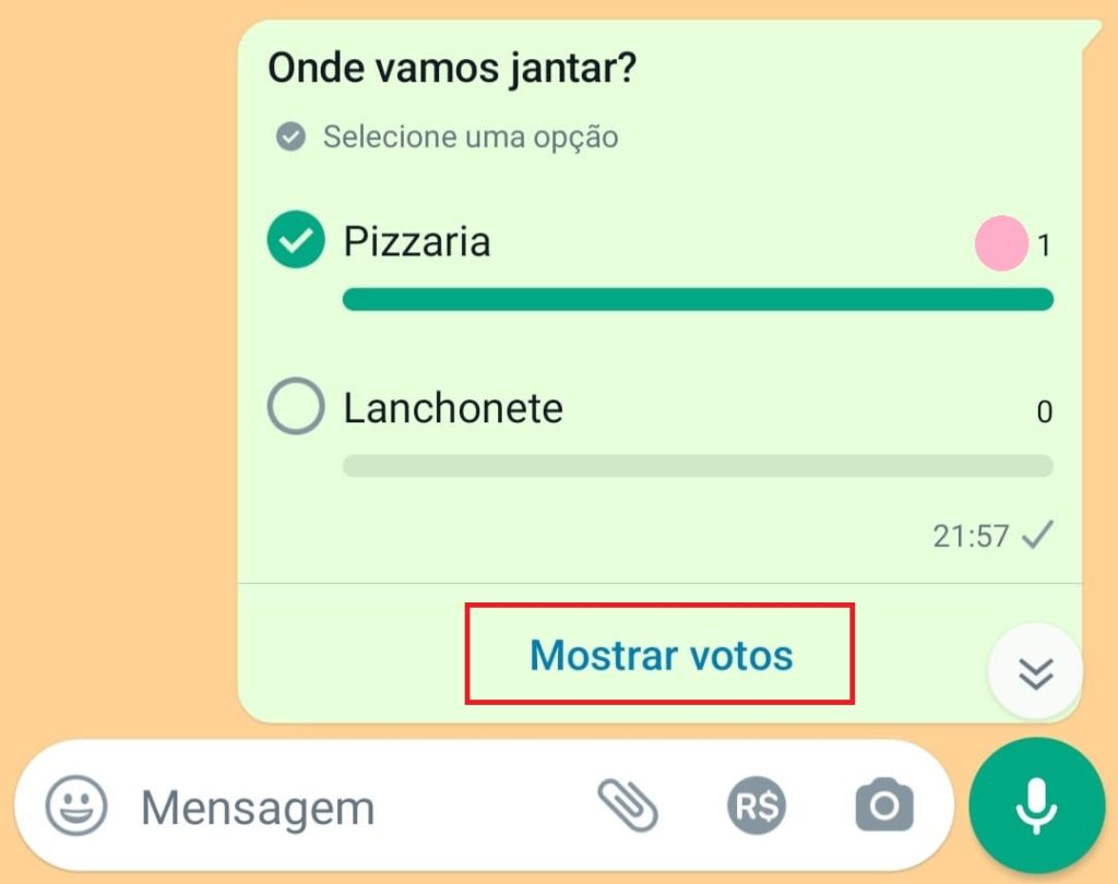 Como realizar uma enquete pelo WhatsApp passo 5