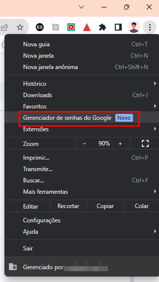 Como gerenciar as senhas pelo PC passo 2