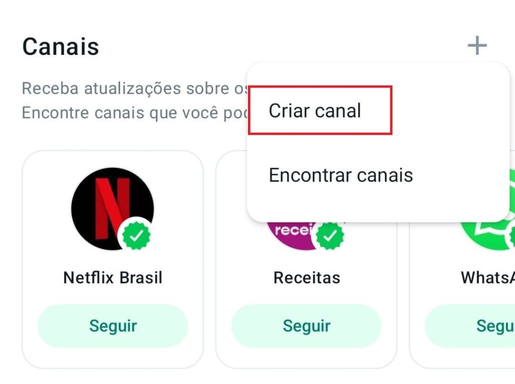 Veja como criar um canal no WhatsApp pelo app passo 4