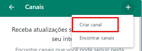 Veja como criar um canal no WhatsApp pela web passo 4