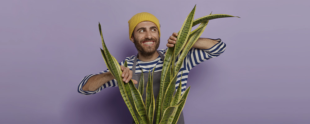 Homem atrás de uma planta, abrindo as folhagens com as mãos e sorrindo.