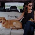 Mulher no banco de trás de um carro com o seu cachorro usando o novo serviço Uber Pet.