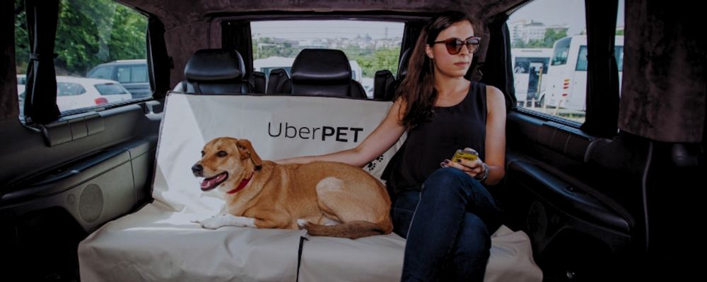 Mulher no banco de trás de um carro com o seu cachorro usando o novo serviço Uber Pet.