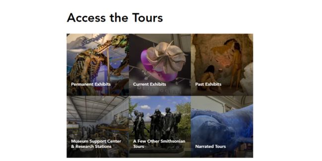 Museu Nacional de História Natural (Washington, EUA) oferece tour online.