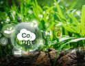 HaaS Carbono Zero: conheça mais essa iniciativa Positivo!