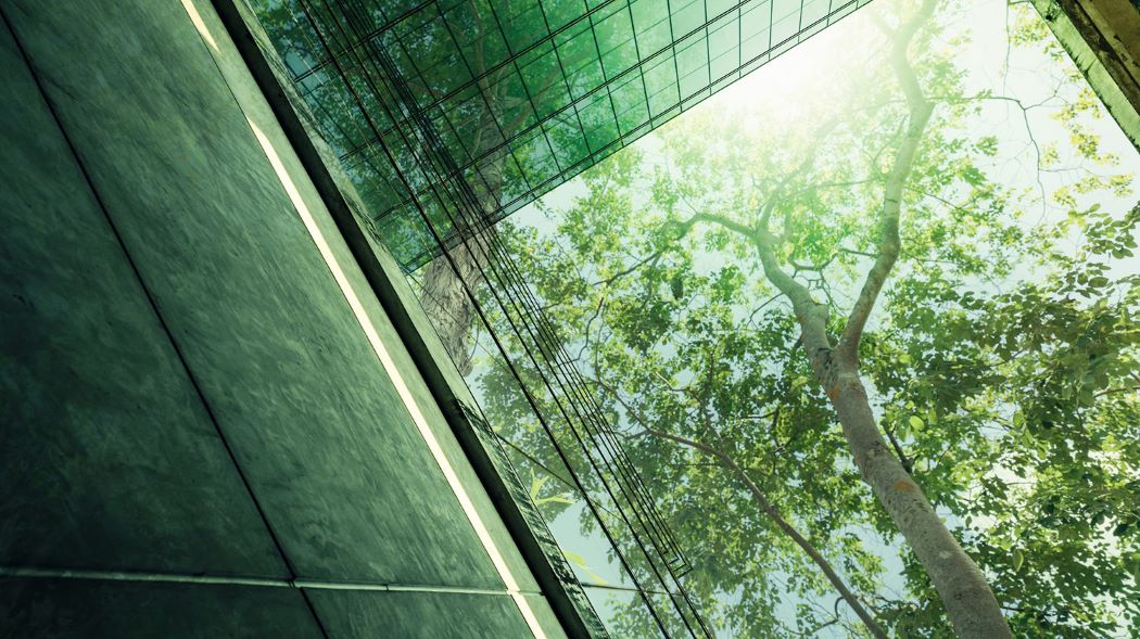 Eficiência energética: 6 dicas para implementar na empresa